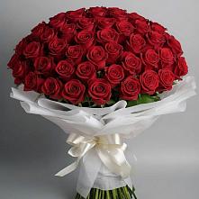 Букет 101 Красная роза Блэк Мэджик в Среднеколымске