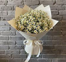 Букет цветов из:  Ромашки в Среднеколымске
