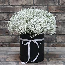 Цветочная композиция из Гипсофила в шляпной коробке #REPLACE_PRED# Среднеколымске