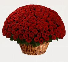 Премиум букет из: Розы в Среднеколымске